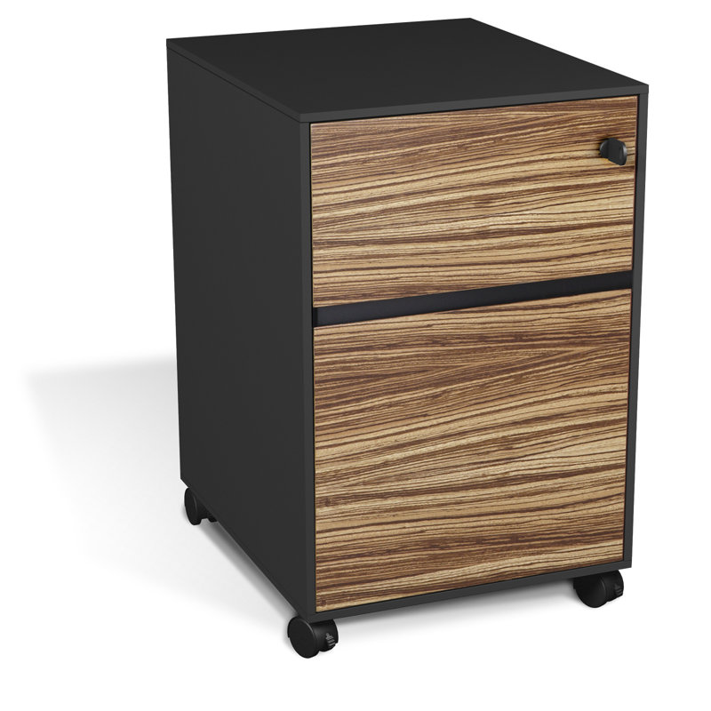 Waldrup 17'' Wide 2 -Drawer Mobile File Cabinet, Zebrano/Black