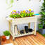 Elevated Planter