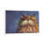 White Framed Canvas is unavailable