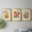 Antique Floral Bouquet I, reproduction encadrée de qualité supérieure - prête à être accrochée-1230542464-1230542467-1230522924