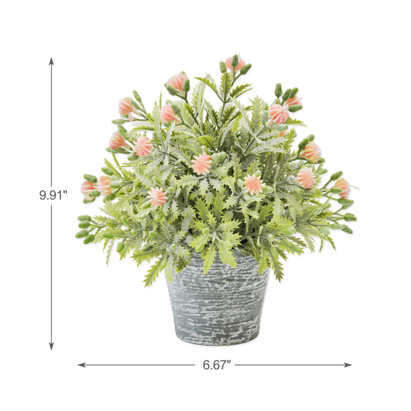 Delicate Fruit In Pot, Pink