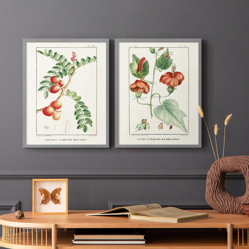 «Turpin Tropical Botanicals III», reproduction encadrée de qualité supérieure - prête à être accrochée - aucun clou requis - aucun clou requis