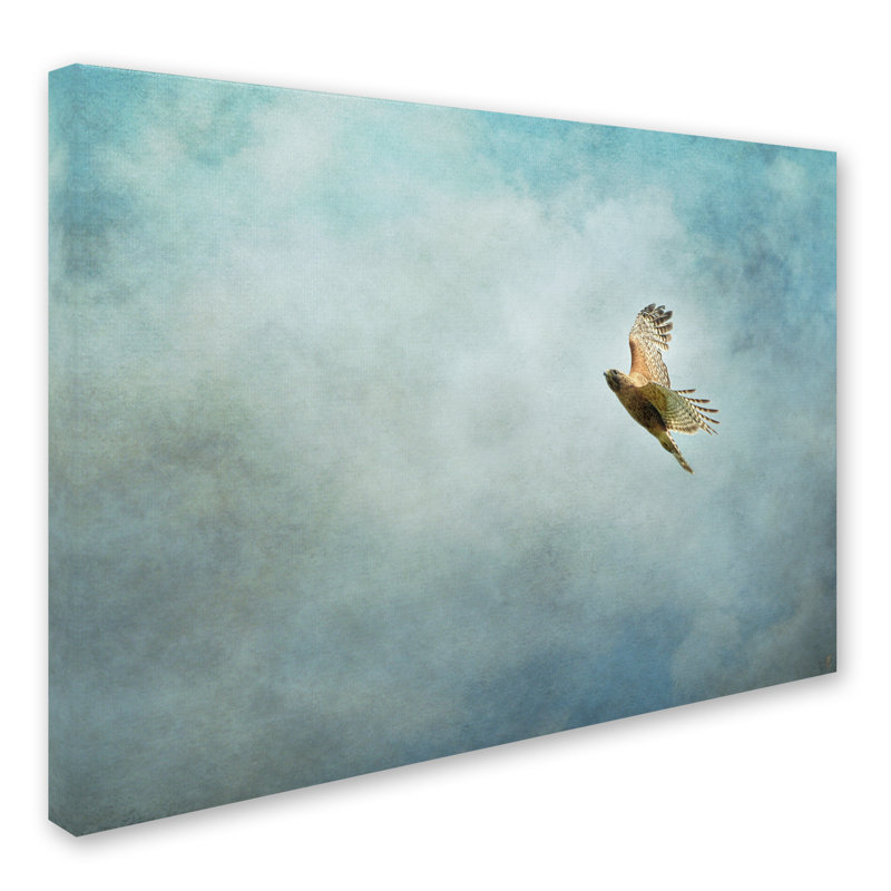 «Up Up and Away Red Épaule Hawk», impression sur toile tendue Vidur, H 35 po x l 47 po