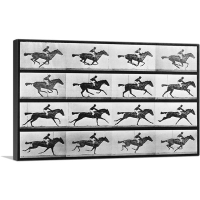 " 16 Frames Of Racehorse " by Eadweard Muybridge