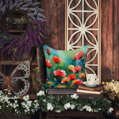 Coussin Ohio