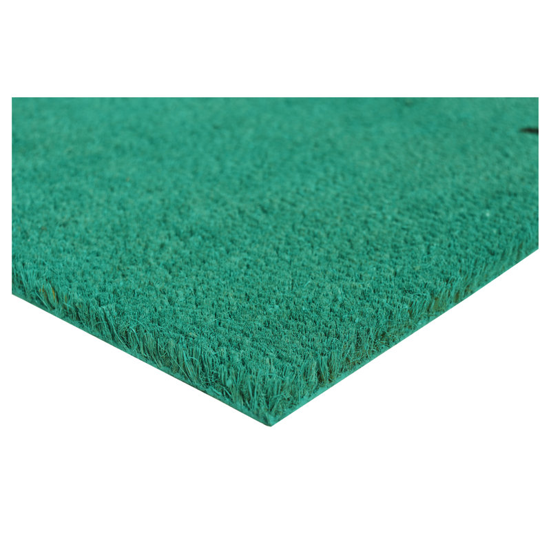 Tapis d'entrée antidérapant Kasper, L 17 po x L 29 po, Turquoise