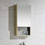 Donatello 15'' W Mirrored Medicine Cabinet