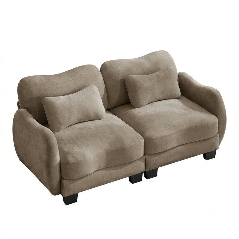 Causeuse moderne et ergonomique avec coussin de soutien et coussin de nuage, Café