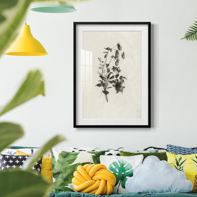 Vintage Floral Print CCCXXXV -Framed Print
