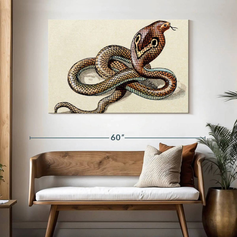 Brampt Indian Cobra, 32" H x 48" W