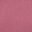 Taylor Fabric