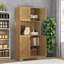 Garde-manger Braynt 70,87