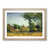 Oak Framed