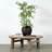Solid Wood Coffee Table