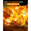 Décorations d'automne [Paquet de 2] Guirlande lumineuse d'automne, guirlande de Noël à DEL, guirlande lumineuse, cadeau de l'Action de grâce