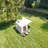 Camping Tents-111122202