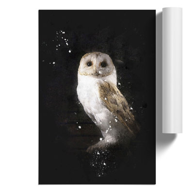 Barn Owl Paint Splash - Frameless Print