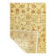 Oriental Area Rug in Ivory