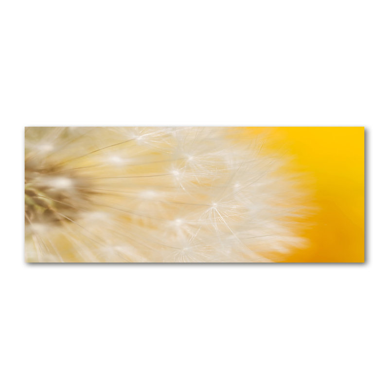 Dandelion - Wrapped Canvas Print