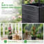 Plant Stand - Set of 2