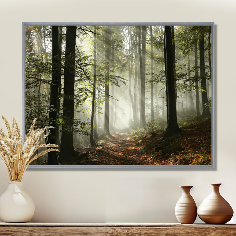 Lumière dans une forêt d'automne dense avec brouillard, œuvre d'art, H 30 po x l 40 po, Reproduction avec cadre flottant
