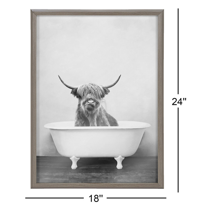 Highland Cow in the Tub BW by Amy Peterson - Picture Frame Print on Glass