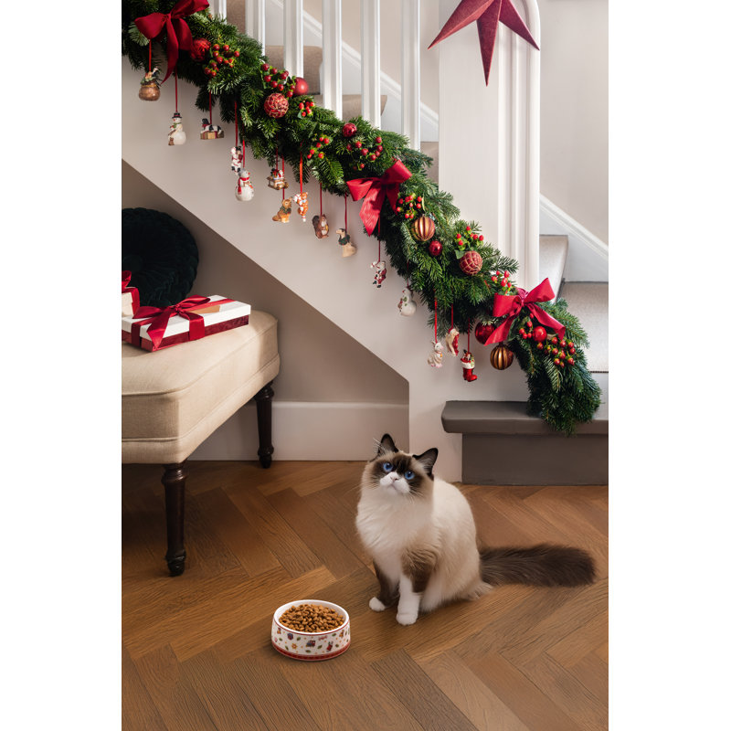 Gamelle Villeroy & Boch Toy's Delight Christmas Collection pour petits chiens/chats, 223 ml, 7.5 fl oz