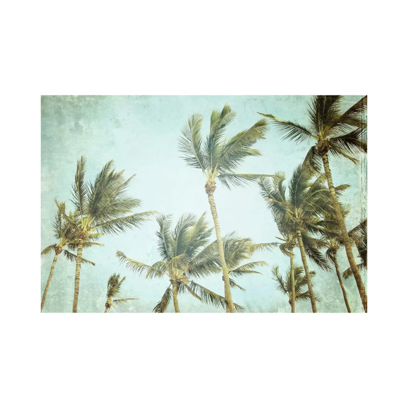 The Only Sound by Lupen Grainne - Wrapped Canvas Print, 20.32 cm H x 30.48 cm W