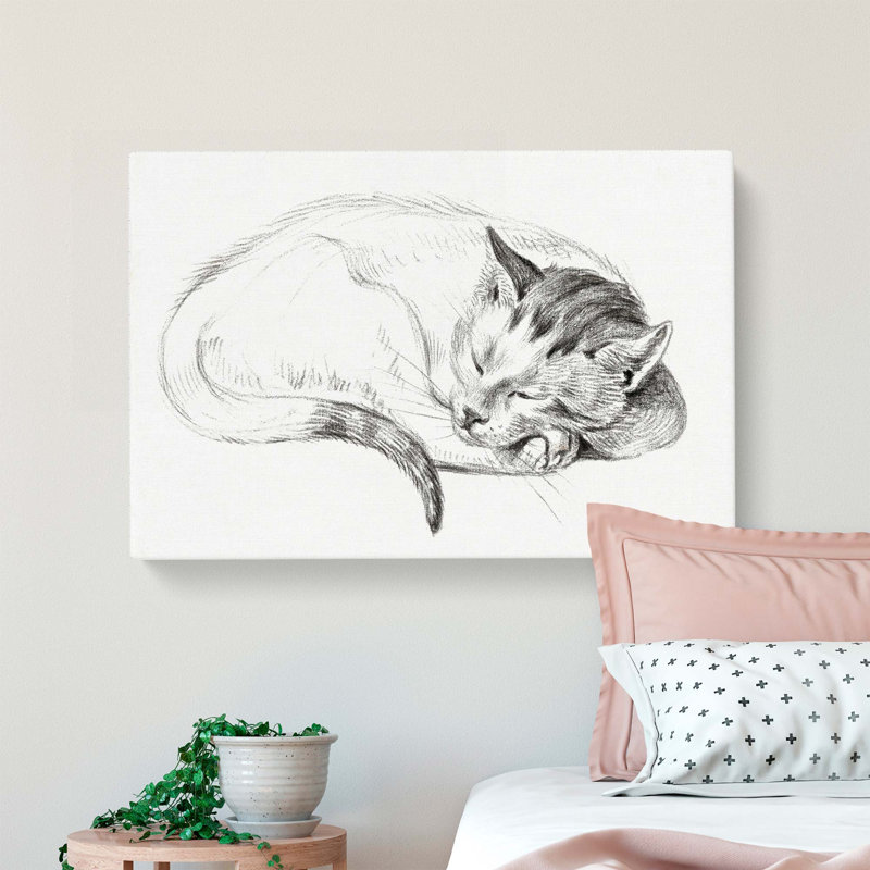 Sleeping Cat by Jean Bernard - Wrapped Canvas Drawing - Wrapped Canvas, 35cm H x 50cm W x 3cm D