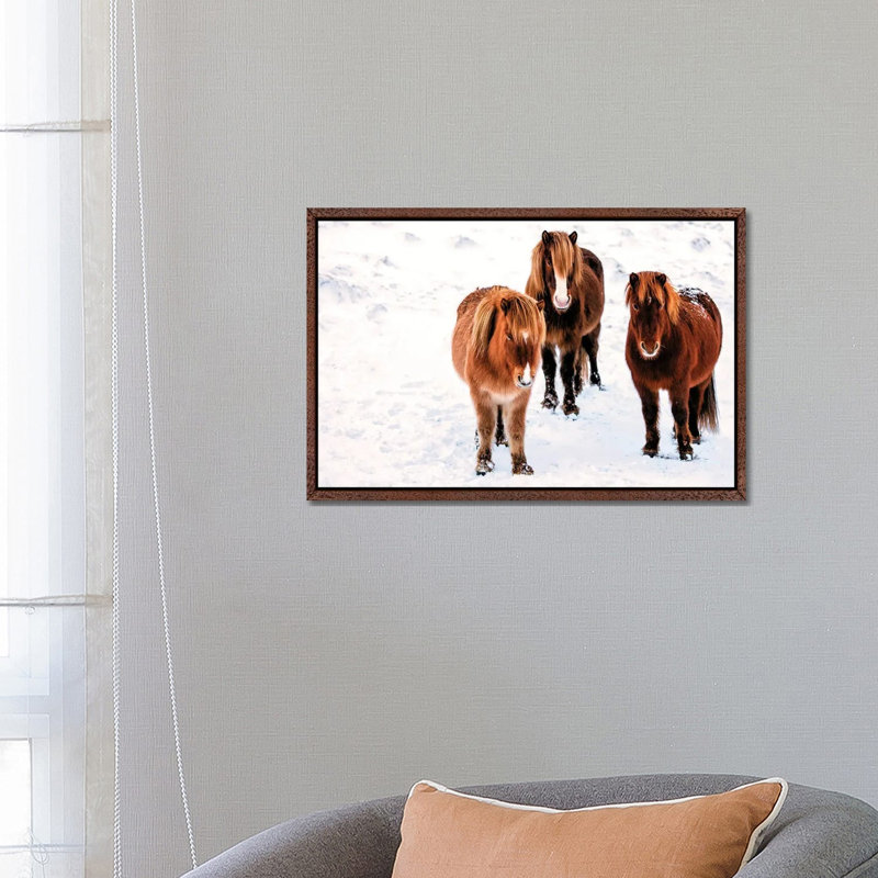 Three Amigos by David Gardiner - Print on Canvas, Brown Framed, 101.6 cm H x 66.04 cm W
