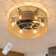 Socher 19'' Boho Rattan Caged Ceiling Fan with Light Kit and Remote