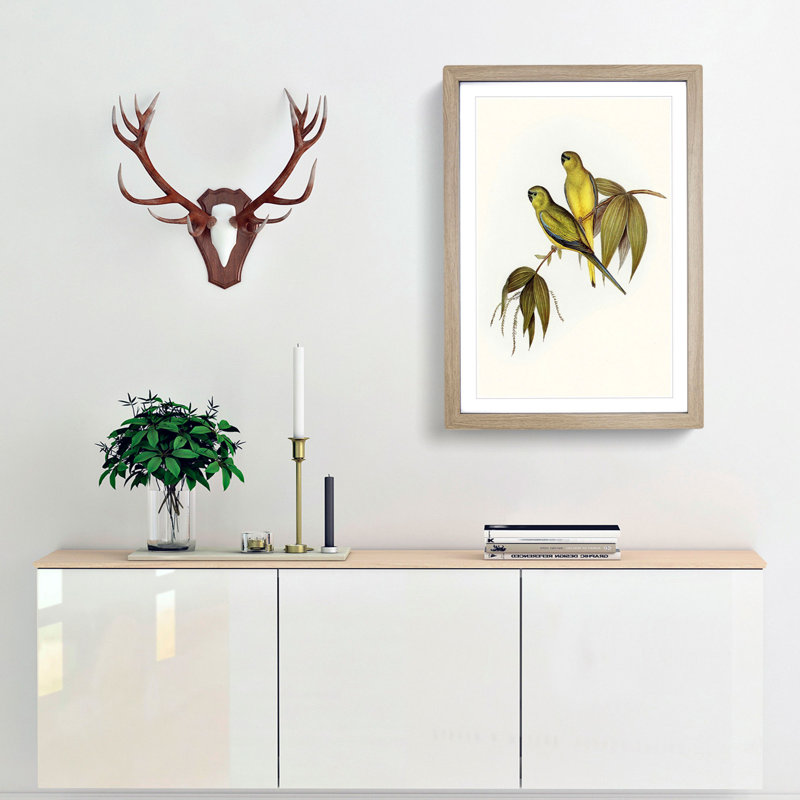 Rock Grass-Parakeets by Elizabeth Gould - Picture Frame Painting Print, 36cm H x 27cm W x 2cm D, Oak Framed