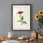 «Pretty Botanicals II», cadre photo-341834855-341834848