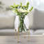 Aavyn Glass Table Vase