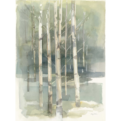 Birch Grove I - Impression sur toile tendue