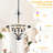 Chandelier - 5-Light Configuration