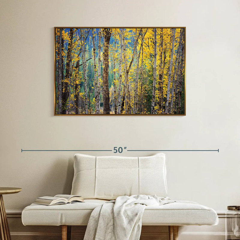 Kootenay Fall II, Cadre flottant doré, 40 po x 27 po