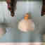 Photos des clients 2 de 2