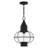 Aster Outdoor Hanging Lantern-1189298492