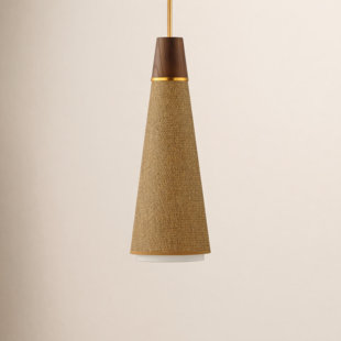 Cayra Single Light Steel Dimmable Pendant