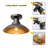 Ceiling Light Fixture
