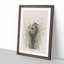 Two Wrens by John James Audubon - Framed Print-55642405-55642406