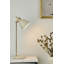 Azalea Metal Desk Lamp-58964975