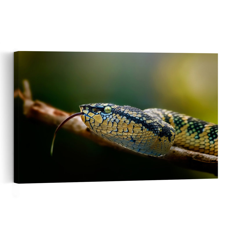 Yellow Viper'S Gaze Contemporary Snake Wall Art Print 1 Piece Wrapped Canvas Wall Art, 101.6cm H x 152.4cm W