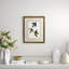 Common Blue Bird Print