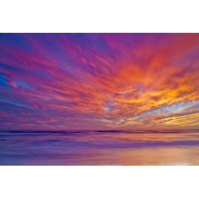 Purple Haze by Sirandel - Wrapped Canvas Photograph