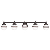 5 - Light Vanity Light