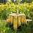 Daronta Round Tablecloth-86865861-86865862