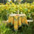 Daronta Round Tablecloth-86865863-86865862