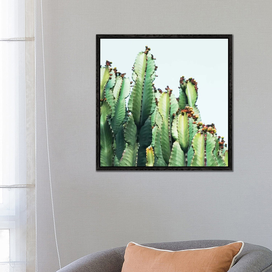 Leinwandbild Cactus Love von 83 Oranges